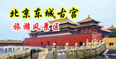 后入式15p中国北京-东城古宫旅游风景区
